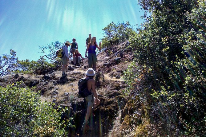 Wine & Wellness Tour in Napa Valley - Wine stops at Caymus and Bell Wine Cellars