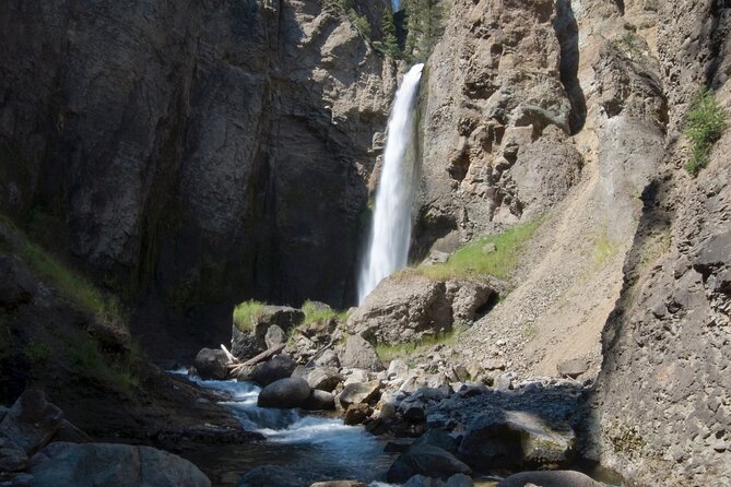 Yellowstone in a Day - Wildlife, Canyons, & Hot Springs - Key points to know before you book