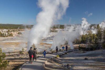 Yellowstone in a Day – Wildlife, Canyons, & Hot Springs