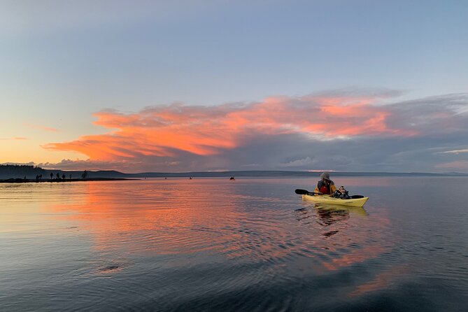 Yellowstone Lake & Hot Springs / 3 Hour Morning or Twilight Tour - Why kayaking West Thumb feels different