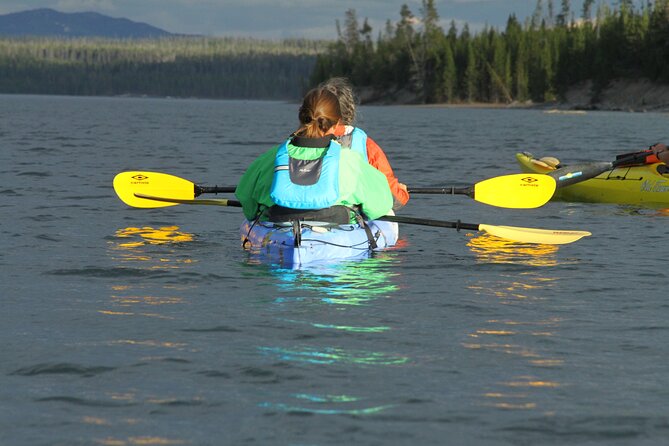 Yellowstone Lake & Hot Springs / 3 Hour Morning or Twilight Tour - Returning before sunset