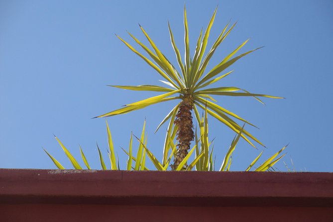 Yoga and Wellness Half-Day in an Authentic Marrakech Riad - A light lunch with a Moroccan setting
