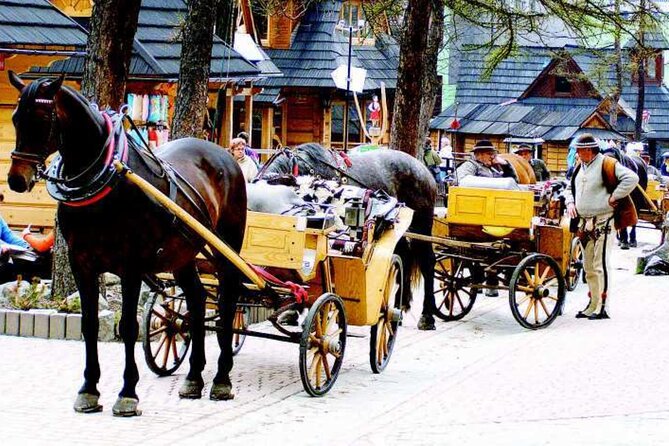 Zakopane full day tour with cable car & thermal baths from Krakow - Two and a half hours in Zakopane