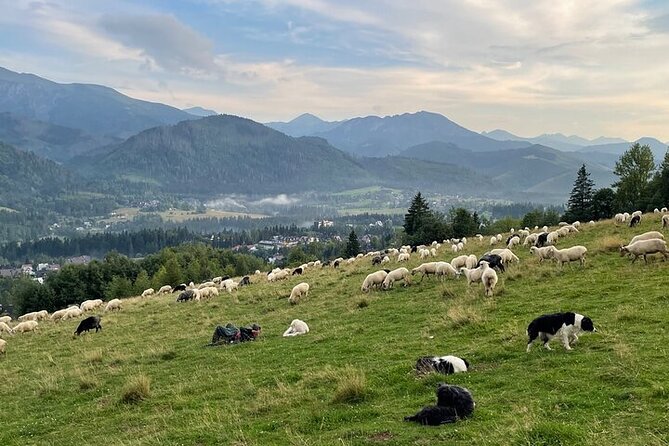 Zakopane full day tour with cable car & thermal baths from Krakow - Transport, timing, and the long return to Krakow