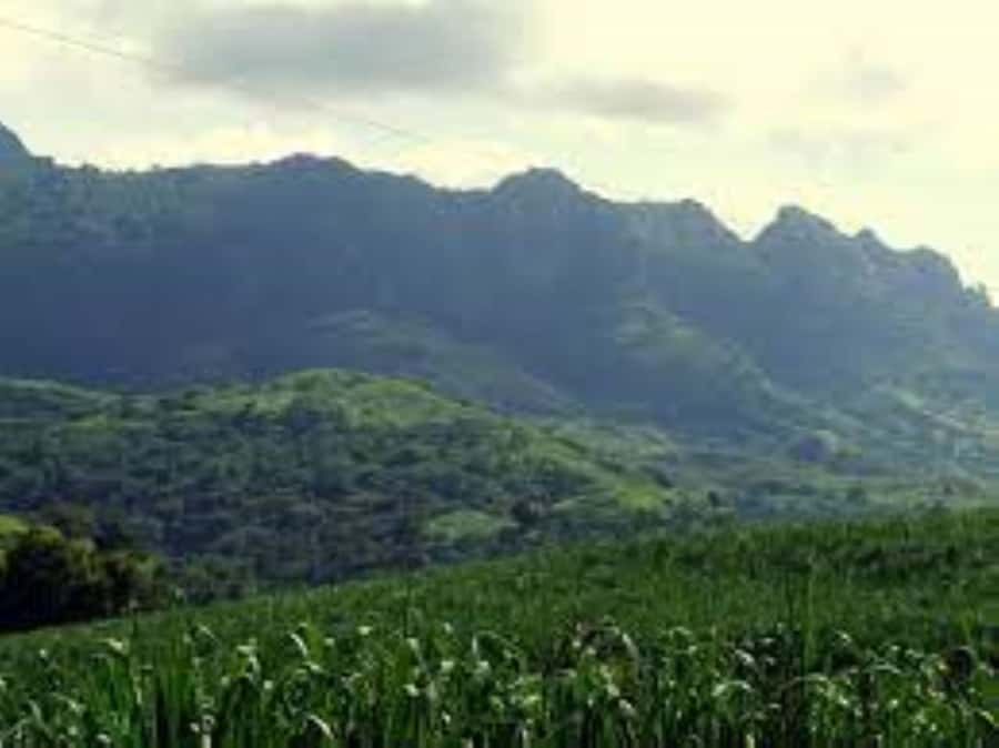 Zipline, Cave, Seaview & Mud Spa Tour with Lunch Included - The Viseisei pass-by adds little, but breaks up the drive